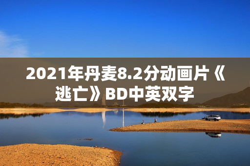 2021年丹麦8.2分动画片《逃亡》BD中英双字