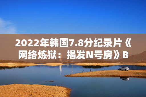 2022年韩国7.8分纪录片《网络炼狱：揭发N号房》BD韩语中字