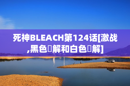 死神BLEACH第124话[激战,黑色卍解和白色卍解]