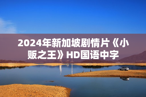 2024年新加坡剧情片《小贩之王》HD国语中字