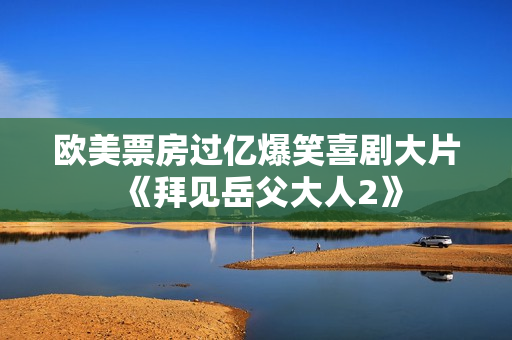 欧美票房过亿爆笑喜剧大片《拜见岳父大人2》