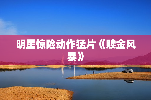 明星惊险动作猛片《赎金风暴》