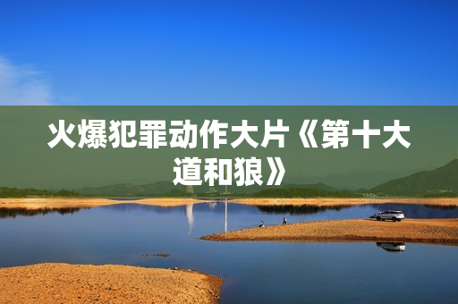 火爆犯罪动作大片《第十大道和狼》