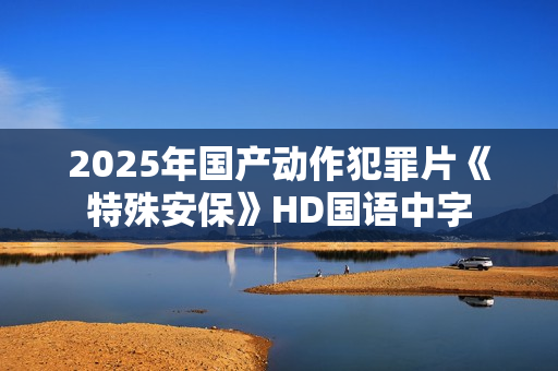 2025年国产动作犯罪片《特殊安保》HD国语中字
