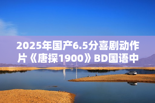 2025年国产6.5分喜剧动作片《唐探1900》BD国语中字