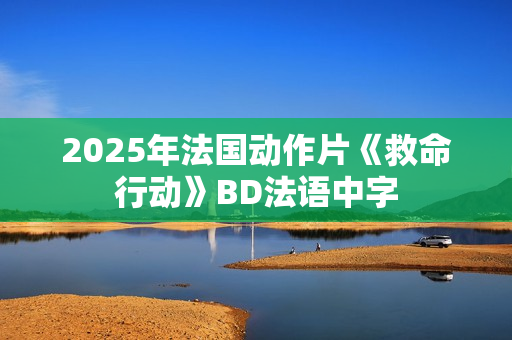 2025年法国动作片《救命行动》BD法语中字