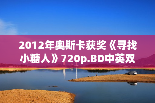 2012年奥斯卡获奖《寻找小糖人》720p.BD中英双字幕