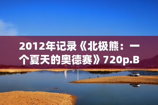 2012年记录《北极熊：一个夏天的奥德赛》720p.BD中字