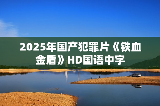 2025年国产犯罪片《铁血金盾》HD国语中字