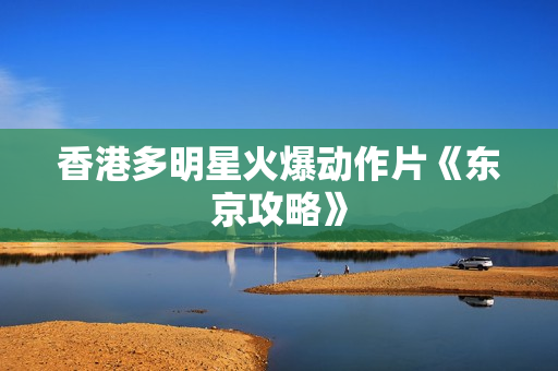 香港多明星火爆动作片《东京攻略》