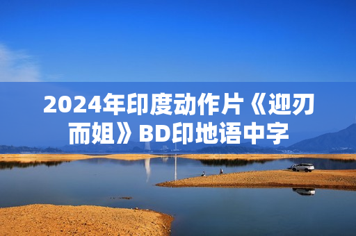 2024年印度动作片《迎刃而姐》BD印地语中字