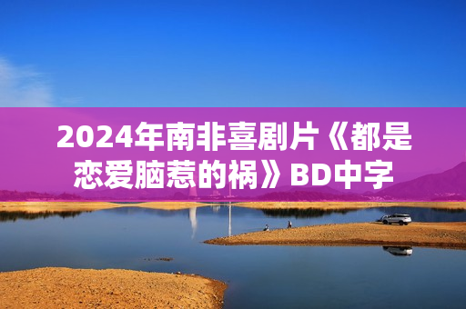 2024年南非喜剧片《都是恋爱脑惹的祸》BD中字