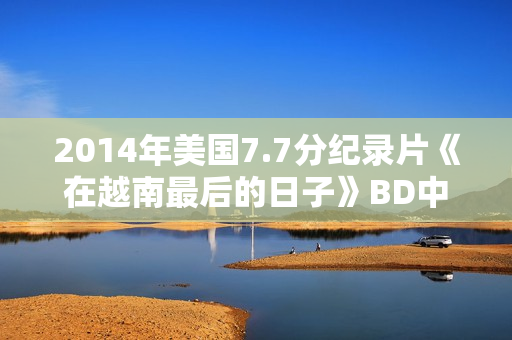2014年美国7.7分纪录片《在越南最后的日子》BD中英双字