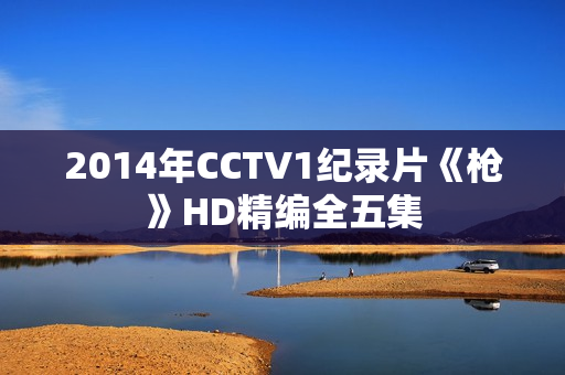 2014年CCTV1纪录片《枪》HD精编全五集