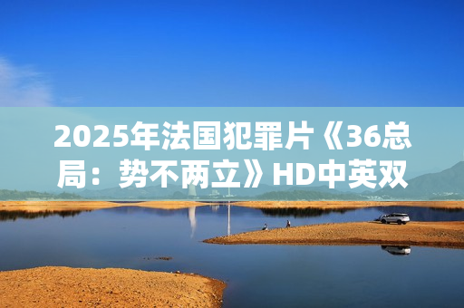 2025年法国犯罪片《36总局：势不两立》HD中英双字