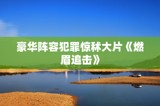豪华阵容犯罪惊秫大片《燃眉追击》