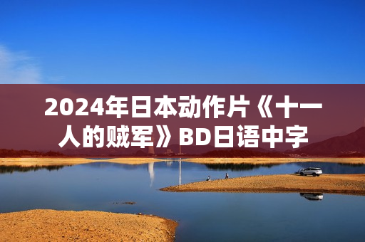 2024年日本动作片《十一人的贼军》BD日语中字