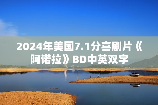 2024年美国7.1分喜剧片《阿诺拉》BD中英双字
