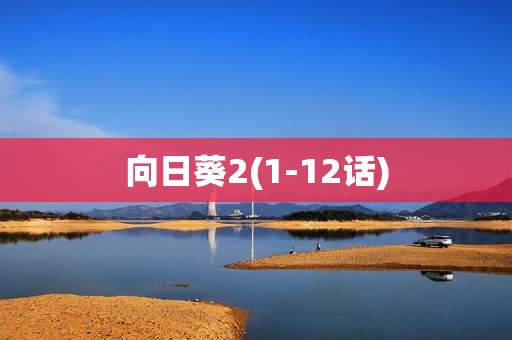 向日葵2(1-12话)