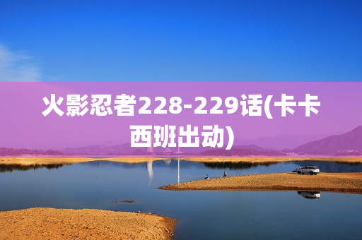 火影忍者228-229话(卡卡西班出动)