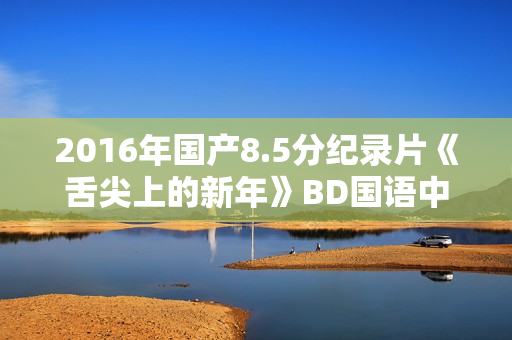 2016年国产8.5分纪录片《舌尖上的新年》BD国语中字