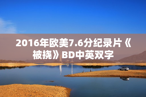 2016年欧美7.6分纪录片《被挠》BD中英双字