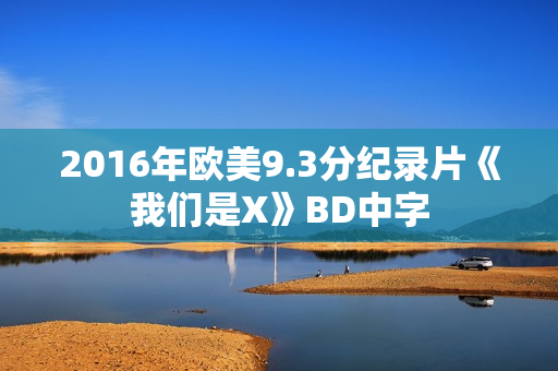 2016年欧美9.3分纪录片《我们是X》BD中字