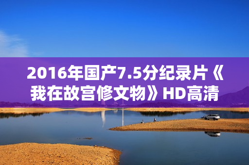 2016年国产7.5分纪录片《我在故宫修文物》HD高清国语中字