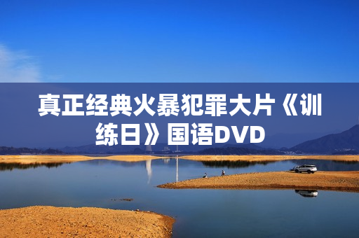 真正经典火暴犯罪大片《训练日》国语DVD