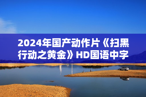 2024年国产动作片《扫黑行动之黄金》HD国语中字