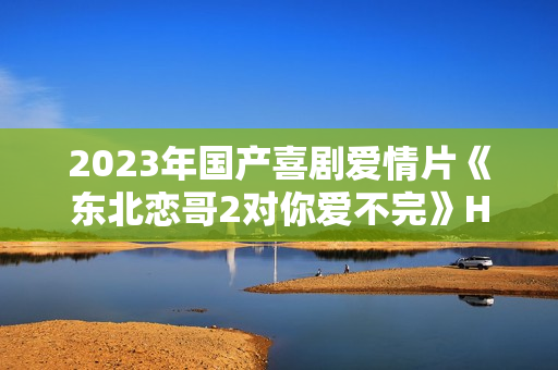 2023年国产喜剧爱情片《东北恋哥2对你爱不完》HD国语中字