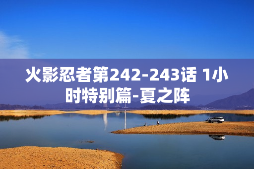 火影忍者第242-243话 1小时特别篇-夏之阵
