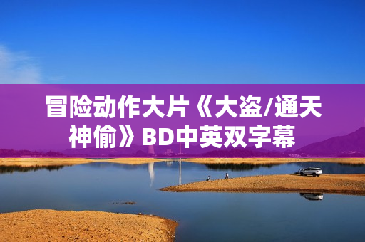 冒险动作大片《大盗/通天神偷》BD中英双字幕