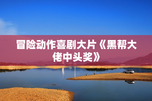 冒险动作喜剧大片《黑帮大佬中头奖》