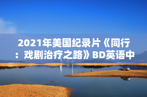 2021年美国纪录片《同行：戏剧治疗之路》BD英语中字