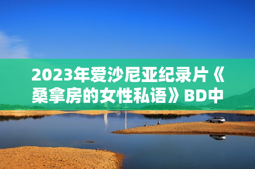 2023年爱沙尼亚纪录片《桑拿房的女性私语》BD中英双字