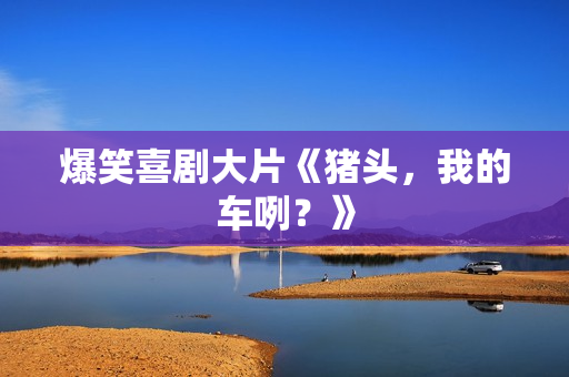 爆笑喜剧大片《猪头，我的车咧？》