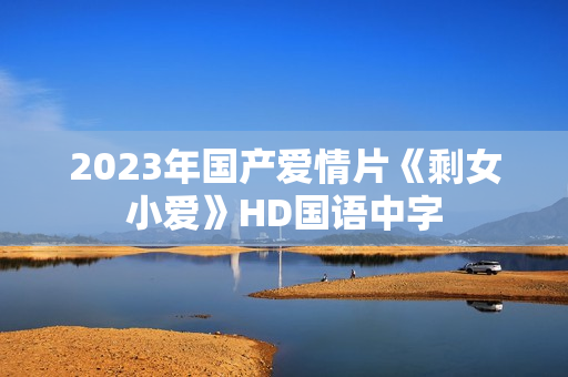 2023年国产爱情片《剩女小爱》HD国语中字