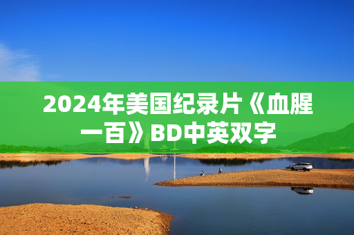 2024年美国纪录片《血腥一百》BD中英双字