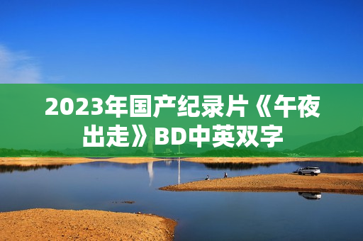 2023年国产纪录片《午夜出走》BD中英双字