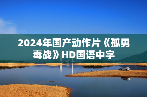 2024年国产动作片《孤勇毒战》HD国语中字