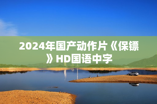 2024年国产动作片《保镖》HD国语中字
