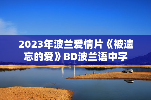 2023年波兰爱情片《被遗忘的爱》BD波兰语中字