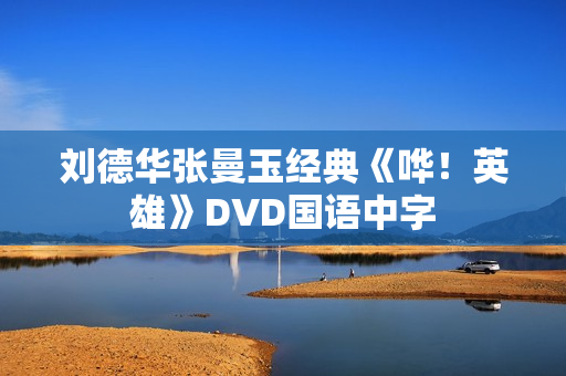 刘德华张曼玉经典《哗！英雄》DVD国语中字