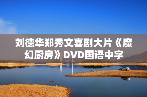 刘德华郑秀文喜剧大片《魔幻厨房》DVD国语中字