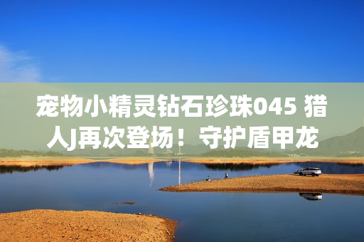 宠物小精灵钻石珍珠045 猎人J再次登场！守护盾甲龙！？