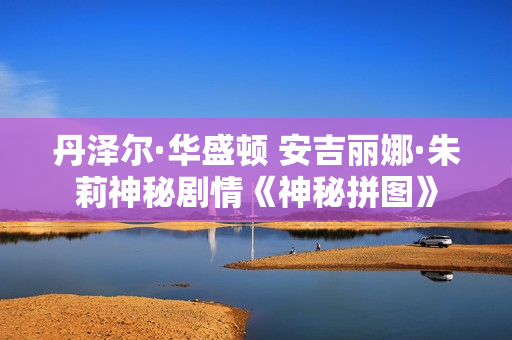 丹泽尔·华盛顿 安吉丽娜·朱莉神秘剧情《神秘拼图》