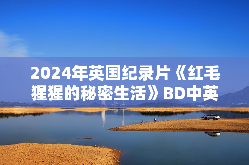 2024年英国纪录片《红毛猩猩的秘密生活》BD中英双字