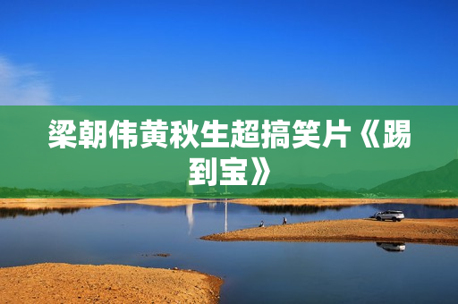 梁朝伟黄秋生超搞笑片《踢到宝》