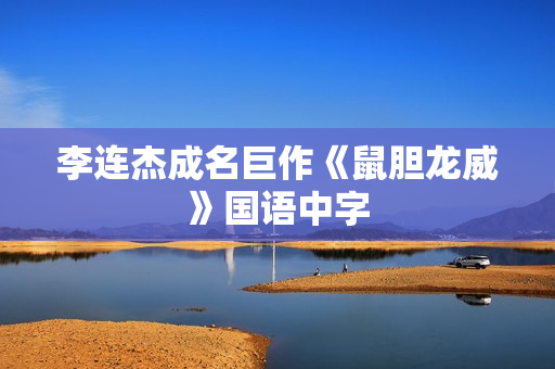 李连杰成名巨作《鼠胆龙威》国语中字